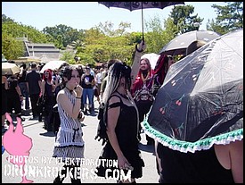 BATS_DAY_2005_0654_P_.jpg