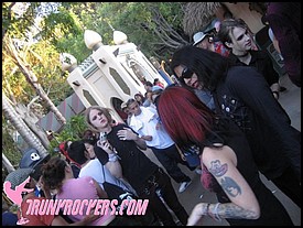 BATS_DAY_2006_306_P_.jpg