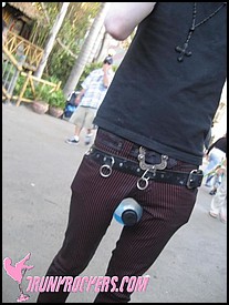 BATS_DAY_2006_308_P_.jpg