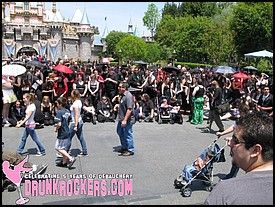 BATS_DAY_2009_006_P_.JPG