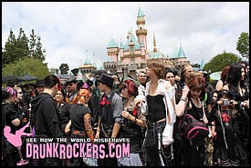 BATS_DAY_2011_166_P_.JPG