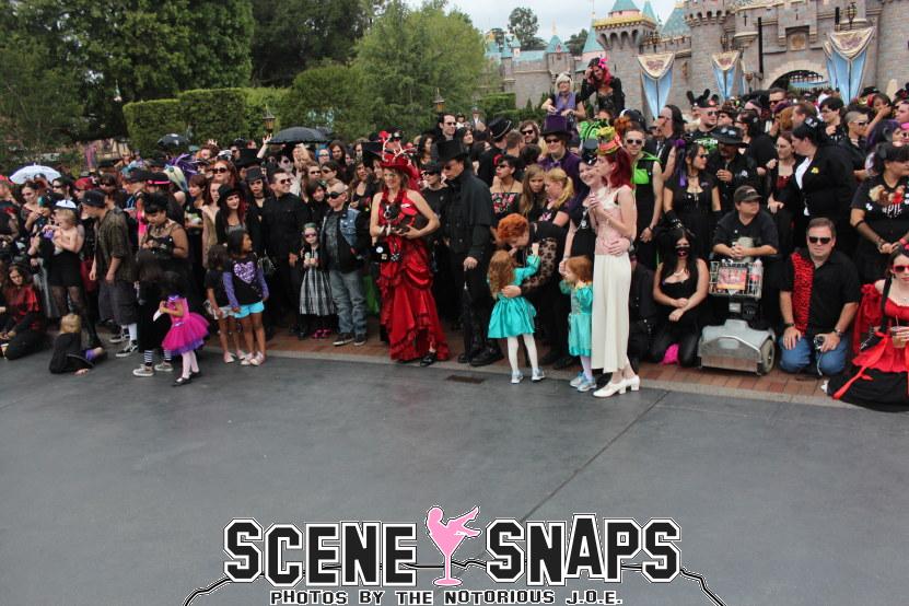 BATS_DAY_2013_031_P_.JPG