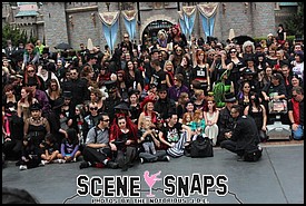 BATS_DAY_2013_048_P_.JPG