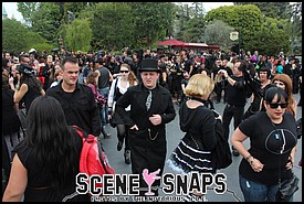 BATS_DAY_2013_067_P_.JPG