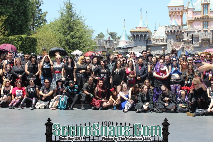 BATS_DAY_2014_0067_P_.JPG