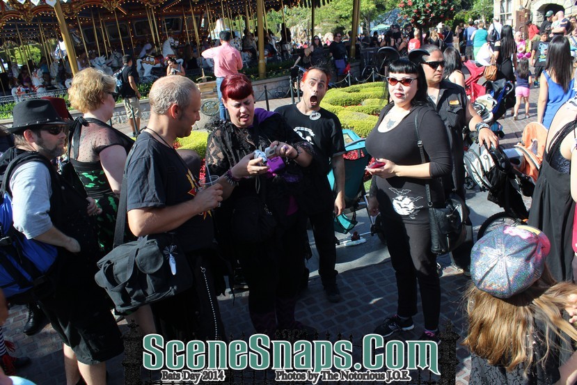 BATS_DAY_2014_0111_P_.JPG