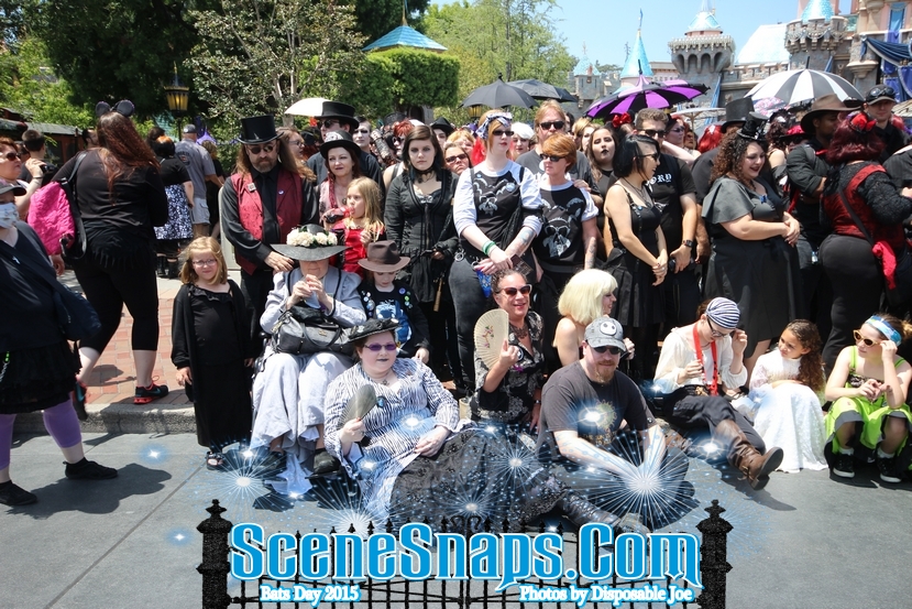 BATS_DAY_2015_0026_P_.JPG