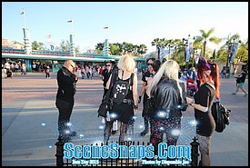 BATS_DAY_2015_0074_P_.JPG