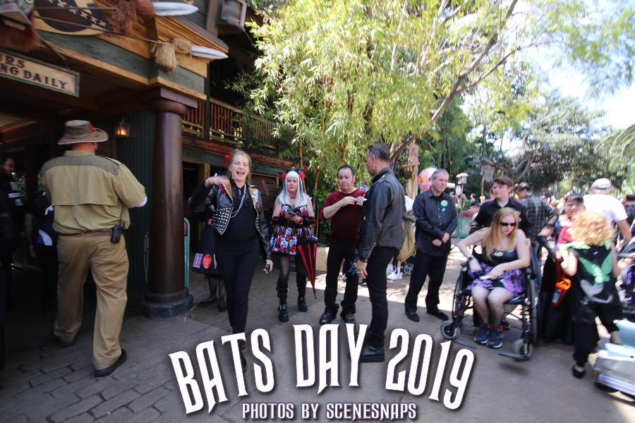 BATS_DAY_2019_0015_P_.JPG