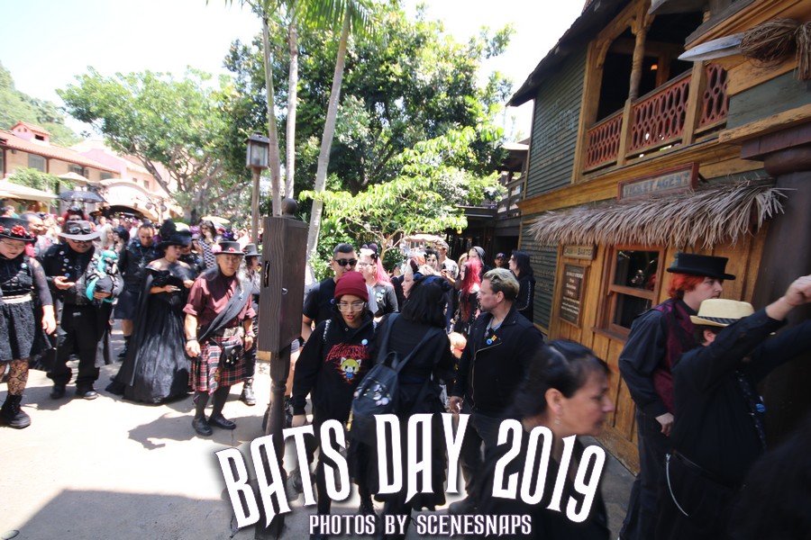 BATS_DAY_2019_0016_P_.JPG