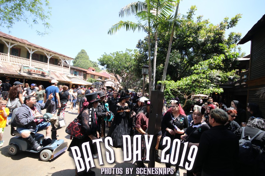 BATS_DAY_2019_0021_P_.JPG