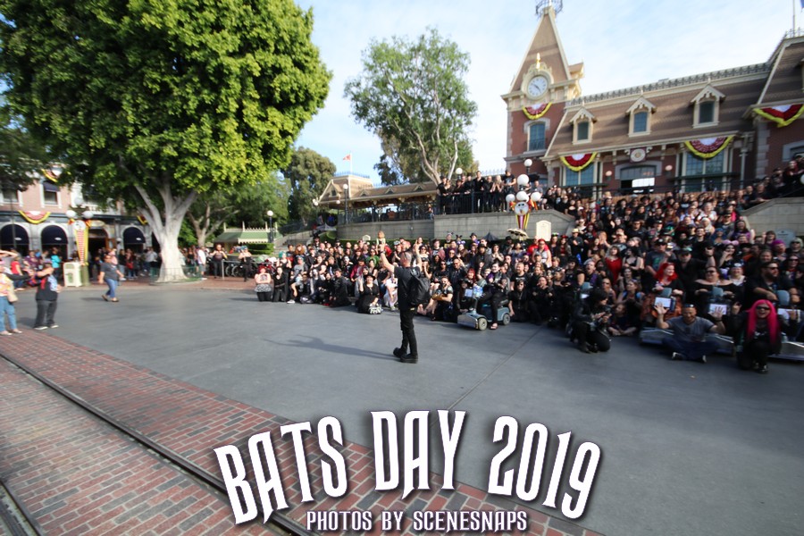 BATS_DAY_2019_0058_P_.JPG