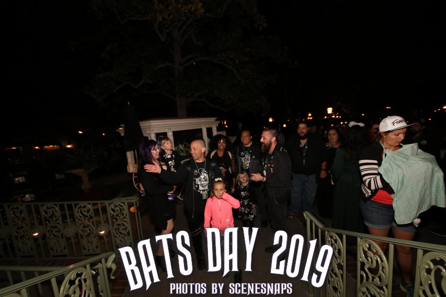 BATS_DAY_2019_0114_P_.JPG