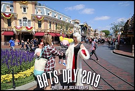 BATS_DAY_2019_0002_P_.JPG