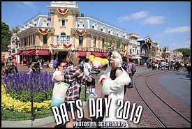 BATS_DAY_2019_0003_P_.JPG