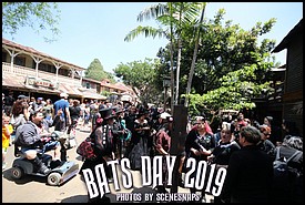 BATS_DAY_2019_0021_P_.JPG