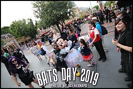 BATS_DAY_2019_0102_P_.JPG