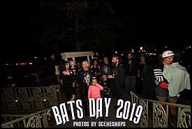 BATS_DAY_2019_0114_P_.JPG