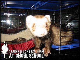 GHOUL_SCHOOL_AUG_11_04_159_P_.JPG