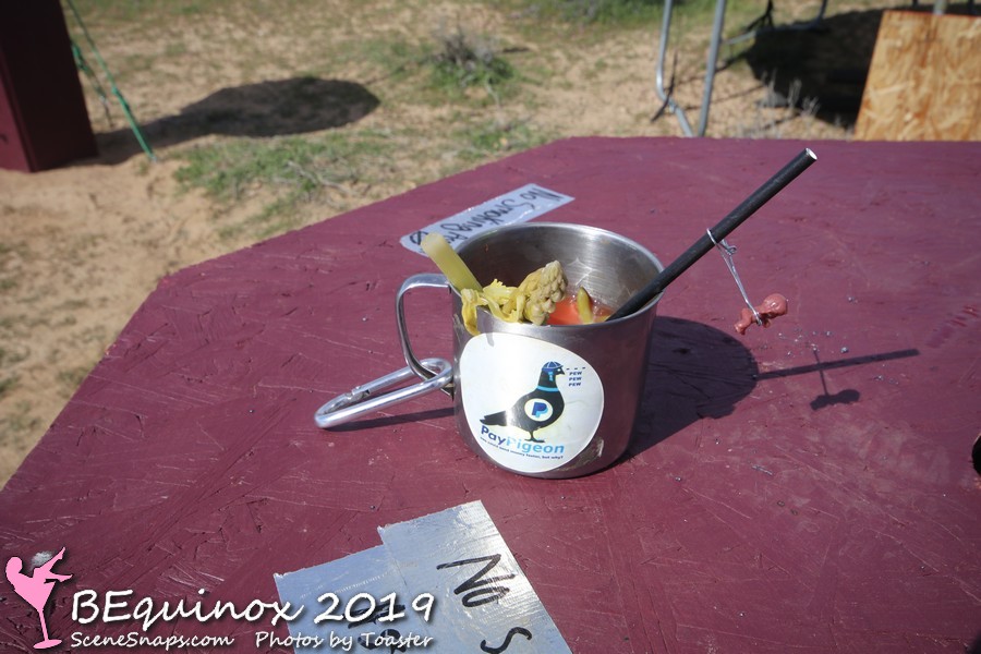 BEQUINOX_2019_LA_BURNING_MAN_REGIONAL_0100_P_.JPG