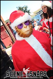 SANTACON_LA_2013_0072_P_.JPG