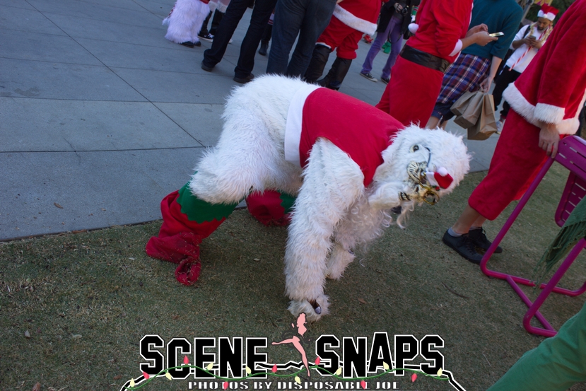 SANTACON_LA_2015_0060_P_.JPG