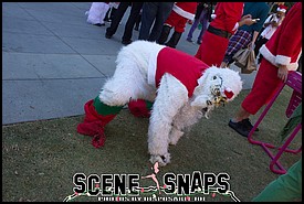 SANTACON_LA_2015_0060_P_.JPG