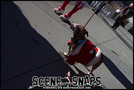 SANTACON_LA_2015_0071_P_.JPG