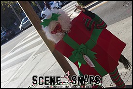 SANTACON_LA_2015_0092_P_.JPG