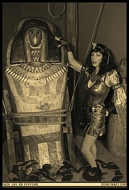 NHM_ROCK_LIKE_AN_EGYPTIAN_SEPIA_OCT_29_15_0008_P_.JPG