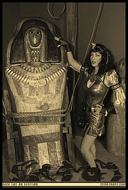 NHM_ROCK_LIKE_AN_EGYPTIAN_SEPIA_OCT_29_15_0008_P_.JPG